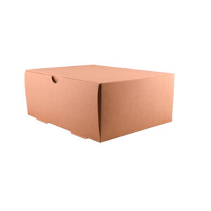 THEBOX delivery 3500 A (4900ml) (20x25x10)