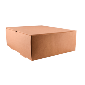 THEBOX delivery 5200 A (7500ml) (25x30x10)