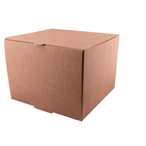 THEBOX delivery Cuadrada L (3000ml) (250 UxC)