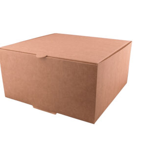 THEBOX delivery Cuadrada XL (3700ml) (250 UxC)