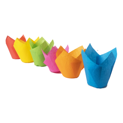 tulipas colores